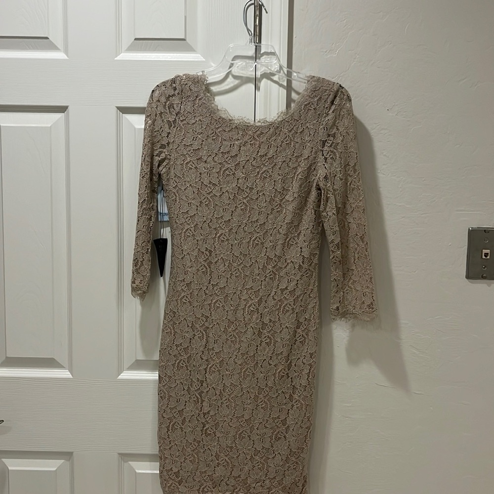 Aritzia babaton rafael dress